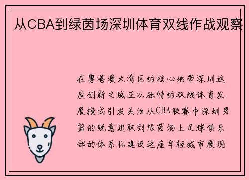 从CBA到绿茵场深圳体育双线作战观察