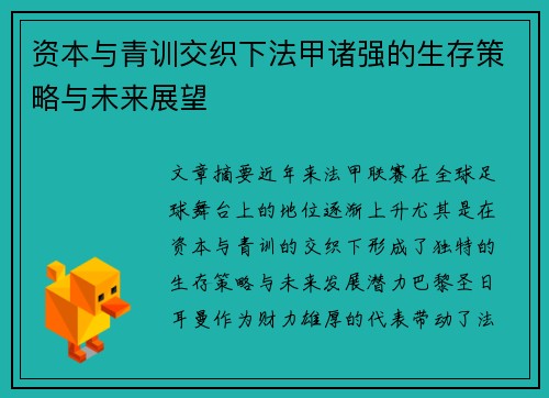资本与青训交织下法甲诸强的生存策略与未来展望
