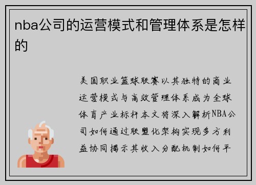 nba公司的运营模式和管理体系是怎样的